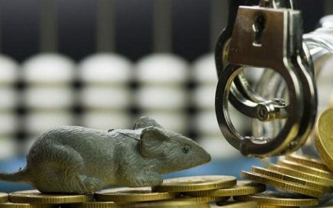 国内金价期货(国内金价期货实时行情)